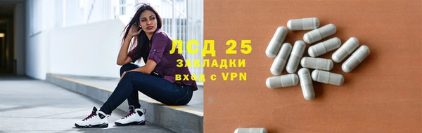ГАЛЛЮЦИНОГЕННЫЕ ГРИБЫ Алексин